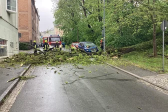Nach Baumsturz: Vier weitere Bäume in Oelsnitz fallen - Am 8. Mai stürzte ein Baum auf ein geparktes Auto an der Grabenstraße und auf ein Haus.