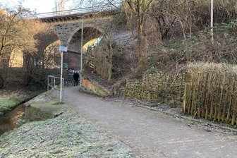Nach dem Fund eines Schädels: Polizei bittet die Zwickauer um Hinweise - Links plätschert der Marienthaler Bach, rechts am Bahndamm fand man den Schädel. Die Polizei ließ dort das Gestrüpp wegmachen und suchte nach weiteren Knochen – allerdings vergeblich.