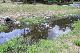 Nach der Havarie am Friesenbach: Plauener Linken-Stadtrat fordert Rathaus und Wasser-Zweckverband zum Handeln auf - Vor gut einer Woche hatte es noch fürchterlich in ganz Alt-Chrieschwitz gestunken, weil Kloake in den Friesenbach gespült wurde. Jetzt ist das Gewässer von sämtlichen Unrat befreit, erstmal zumindest.