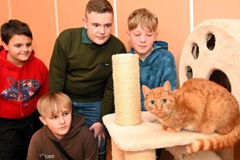 Nach Diebstahl von Spendenbüchsen: Schulklasse hilft Tierschutzverein in Frankenberg - Pepe, Simon, Niklas und Ben (v. l.) aus der Klasse 6 b der Oberschule freundeten sich beim Tierschutzverein Frankenberg mit Katze Lilly an, die noch behandelt wird und in ein paar Wochen vermittelt werden kann.