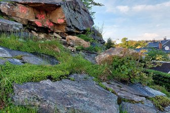 Nach Felssturz am Alten Söll in Schöneck: Stadt muss für die Sicherung tief in die Tasche greifen - Die Abbruchstelle der Felsbrocken am Alten Söll in Schöneck.