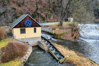 Nach Gesetzesänderung: Bis zu 200 neue Wasserkraftwerke in Sachsens Flüssen geplant - DasWasserkraftwerk der Rolle-Mühle in Waldkirchen an der Zschopau hat eine Fischtreppe.