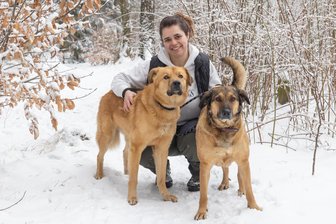 Nach Glücksfall für Tierheim im Erzgebirge: Klappt das beim Hunde-Duo Caramel und Lotta nochmal? - Caramel und Lotta (r.) – im Bild mit Lissi Burkhardt – werden seit mehreren Monaten im Tierheim „Neu-Amerika“ bei Annaberg-Buchholz versorgt. Die beiden verstehen sich gut. Der Traum des Teams wäre, sie gemeinsam zu vermitteln.