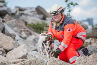 Nach Hauseinsturz in Görlitz: Rettungshund Giro aus dem Erzgebirge hilft bei Vermisstensuche - Jessica Neumann vom DRK ist nach dem Haus-Einsturz in Görlitz mit Hund Giro im Einsatz gewesen.