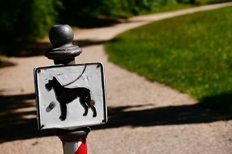 Nach Hundebiss ins Gesicht: Peta fordert Hundeführerschein - Nach einer Beißattacke durch einen Hund auf einen Mann in Zwota fordert Peta einen Hundeführerschein im Freistaat. Nach Polizeiangaben war der Hund angeleint gewesen.