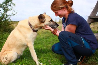 Nach Hundebissen im Erzgebirge: Neun Tipps der Tierpsychologin - Katja Winkler mit der russischen Straßenhündin Laura aus dem Tierschutz. Die 38-Jährige ist Hundetrainerin in Freiberg.