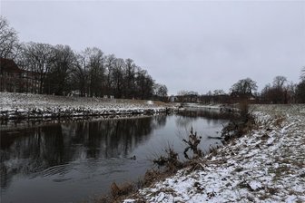 Nach jahrzehntelanger Verschmutzung: Es gibt wieder Karpfen in der Zwickauer Mulde - Man sieht es der Zwickauer Mulde auf den ersten Blick nicht an. Sie ist die Heimat von 26 Fischarten.