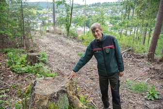 Nach Kritik über Holzeinschlag in Klingenthal: Der Förster zieht Bilanz - Revierförster Tony Gottschlich zieht Bilanz nach dem Holzeinschlag an der Friedenshöhe in Klingenthal.