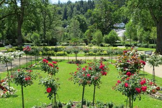 Nach langem Kampf: Kurorte auch im Vogtland erhalten zusätzliches Geld vom Freistaat - Der Rosengarten von Bad Elster wird in Regie der Kommune gepflegt. Für derlei Aufwendungen gibt es jetzt zusätzliches Geld vom Freistaat.