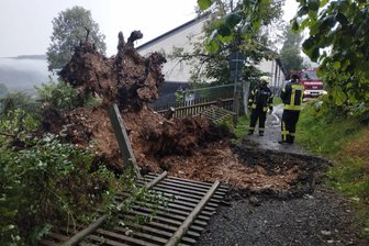 Nach massiven Unwetterschäden und Windhose: Tierpark Klingenthal am Samstag wieder geöffnet - Beim Unwetter entwurzelte am Friedhof Klingenthal ein Baum und zerstörte den Fußweg. Der Baum drohte, auf die Friedhofshalle zu fallen. Der Weg bleibt vorerst gesperrt.