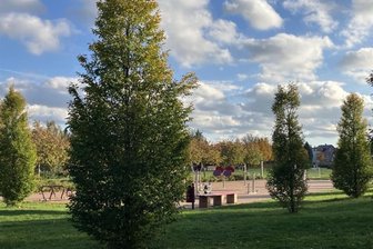 Nach Messerattacke im Stadtpark Lugau: Zwei Tatverdächtige ermittelt - Im Herbst waren im Lugauer Stadtpark Jugendliche aneinander geraten.