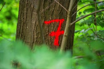 Nach nicht angemeldeter Versammlung gegen Windkraft im Neukirchener Wald: AfD-Abgeordneter relativiert seinen Aufruf - Einen Fototermin wollte der AfD-Bundestagsabgeordnete Thomas Dietz für eine Protestaktion nutzen.