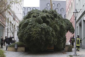 Nach Panne im ersten Anlauf: Weihnachtstanne erreicht City - Hier und da ging es bei dem Baumtransport eng auf den Straßen zu. Kurz vor dem Altmarkt standen Kübel im Weg.