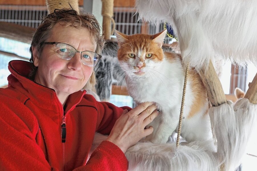 Nach Pause: Tierheimfest lockt 800 Besucher nach Langenberg - Susanne Hempel, Chefin des Tierschutzvereins Hohenstein-Ernstthal, mit einem Tier, das in Langenberg zu Hause ist. Der Kater wurde während der letzten Silvesternacht abgegeben. 
