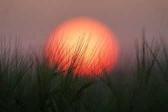 Nach Pfingsten bleibt es sonnig, im Norden kühler - Im Südwesten werden Temperaturen bis 34 Grad erwartet 