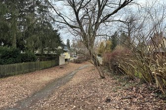 Nach radikalem Heckenschnitt: Eigentümer und Stadt suchen nach Lösungen - Der Zustand an der Grundstücksgrenze von Familie Herrmann kann nach dem Rückschnitt so nicht bleiben.