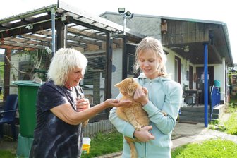 Nach rätselhaftem Virus: Zschopauer Tierschutzstation ist für den Neustart gerüstet - Die fünf Katzen, die aktuell in der Tierschutzstation untergebracht sind, bereiten unter anderen Gudrun Cielecki (links) und Lotte Kaiser viel Freude.