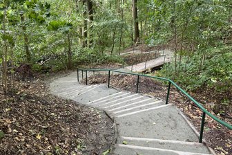 Nach Sanierung: Wichtige Fußgänger-Verbindung zum Chemnitzer Stadtpark wieder nutzbar - Die Treppe am Hang zum Stadtpark ist wieder nutzbar.