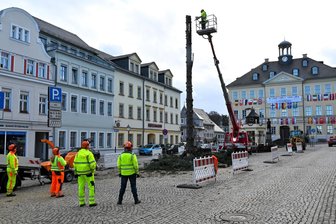 Nach sieben Wochen Lichterglanz in Mittweida und Hainichen: Das traurige Ende der größten Weihnachtsbäume - Da war es nur noch ein „Mast“. Am Dienstag wurde der Weihnachtsbaum auf dem Markt in Hainichen zersägt.