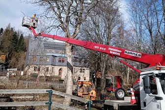 Nach stürmischen Wochen: Hubbühne hilft Schwarzenberger Bauhof beim Baumbeschnitt - Die angemietete Hubarbeitsbühne kam auch bei Arbeiten im Bereich Bräuerteich zum Einsatz.