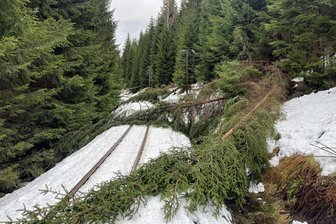 Nach Sturm im Erzgebirge: Preßnitztalbahn fährt mit Volldampf Richtung Jahreswechsel - So sah es nach dem Unwetter auf der Strecke der Preßnitztalbahn zum Teil aus.
