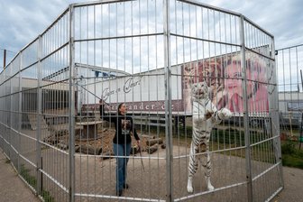 Nach Tiger-Ausbruch bei Leipzig: Tierschützer wollen Raubkatzen aus Privathaltung jetzt übernehmen - Carmen Zander hält eine größere Anzahl von Tigern auf ihrem Betriebsgelände in der Nähe von Leipzig.