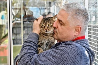 Nach Unfalltod von Mitarbeiterin in Freiberg: "Es war der traurigste Tag für das Tierheim in den vergangenen 30 Jahren" - Für Kater John, den die tödlich verunglückte Nancy S. zu Hause betreut hatte, sucht das Tierheim Freiberg ein neues Zuhause - im Bild mit Schatzmeister Thomas Weigel.