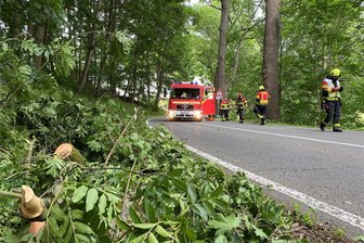 Nach Unwetter und Sperrung im Chemnitztal: Bundesstraße 107 wieder befahrbar - Ein Baum ist auf die Chemnitztalstraße gestürzt. Die B 107 musste am Samstagnachmittag gesperrt werden.