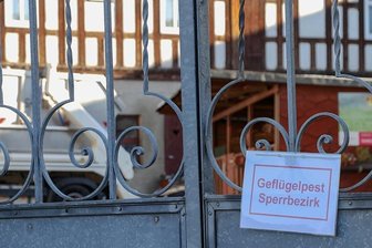 Nach Vogelgrippe in Thüringen Stallpflicht auch im Landkreis Zwickau - Der Ausbruch der Vogelgrippe im Thüringer Thonhausen, das nur einen Steinwurf von Crimmitschau entfernt liegt, hat auch Auswirkungen auf private und gewerbliche Geflügelzüchter im Landkreis Zwickau. 
