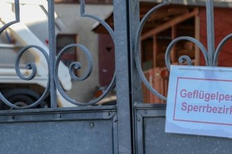 Nach Vogelgrippefall gilt Stallpflicht für Geflügel - Der Ausbruch der Vogelgrippe im thüringischen Thonhausen, das nur einen Steinwurf von Crimmitschau entfernt liegt, hat auch Auswirkungen auf private und gewerbliche Geflügelzüchter im Landkreis Zwickau.