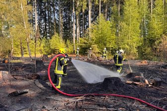 Nach Waldbrand in Langenau: Was tun, wenn es im Wald brennt? - In Langenau brannte ein Waldstück von 40 Meter mal 25 Meter ab. Die Nachlöscharbeiten waren aufwändig.