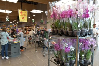 Nach weniger als einem Jahr Bauzeit: Neuer Nettomarkt in Oberbobritzsch eröffnet - Der neue Nettomarkt in Oberbobritzsch hat ab Dienstag geöffnet (Symbolfoto).
