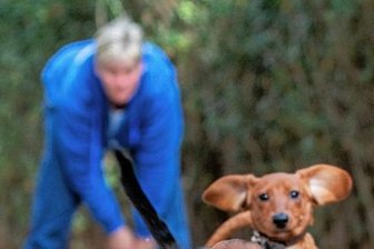 Nach wilder Reise: Dackel-Duo hat neues Zuhause - Tierheimchefin Antje Kausch muss Abschied nehmen: Die Dackel Willi und Maja konnten erfolgreich vermittelt werden. 