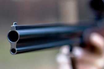 Nach Wilderei-Fall im oberen Vogtland: Sachsenforst mahnt Jäger zur Vorsicht - Bei einem Fall von Jagdwilderei im Revier Sachsengrund wurden zwei Hirschkühe getötet. Die Polizei ermittelt. 