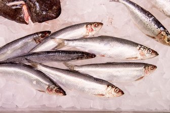 Nachhaltig einkaufen? So schneidet Ihr Lieblingsfisch ab - WWF-Marktcheck: Lediglich 27 Prozent der untersuchten Fischprodukte in deutschen Supermärkten schnitten als empfehlenswert ab.