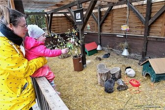 Nachwuchsfreuden im Tierpark Freiberg - und nicht nur das - Sind die kleinen Langohren süß: Anne Fischer mit Tochter Lilly aus Freiberg am Hasengehege. 