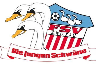Nachwuchsleistungszentrum: FSV Zwickau reicht Unterlagen ein -
