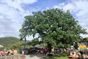 Nächstes Elsterberger Ruinenfest: Termin steht fest - 2023 wurde 825 Jahre Ersterwähnung gefeiert. 2026 folgt das Ruinen- und Heimatfest.