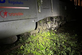 Nächtliche Evakuierung in Oederan: Warum Fahrgäste stundenlang im stehenden Zug ausharren mussten - Eine Regionalbahn musste am späten Samstagabend auf freier Strecke bei Oederan stehenbleiben.