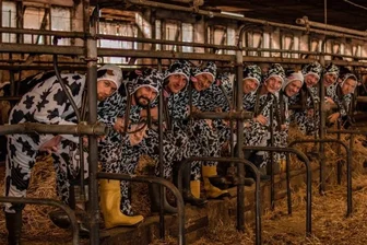 Närrisches Shooting auf dem Bauernhof - Muhhhh! Zu den verrücktesten Shootings gehörten die Aufnahmen im Kuhstall. Dazwischen wurden auch Bierpausen eingelegt.