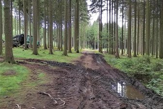 Naherholungsgebiet Kuhbergwald bei Netzschkau wird zur Schlammpiste - warum ein Käfer daran Schuld ist - Nach Regenfällen verwandeln sich manche Waldwege im Kuhbergwald in eine Schlammpiste. Schuld sind aktuell die Baumfällarbeiten wegen Borkenkäferbefall.