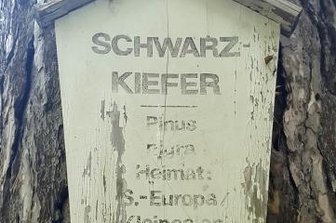 Namensschilder zunehmend eine Rarität - Verbliebene Namensschilder wie im Stadtpark werden zunehmend unleserlich. 