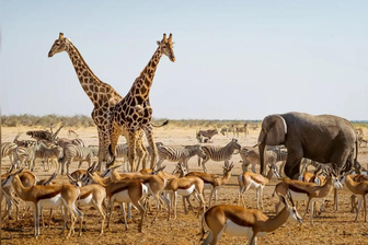 Namibia Rundreise 2025 - 