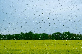 Nasser Feiertag erwartet – "Schauer und Gewitter im Gepäck" - Regen wird es auch in den kommenden Tagen geben.