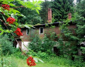Natur erobert die Göltzschtalmühle zurück - 
              <p class="artikelinhalt">Seit Jahren liegt die Göltzschtalmühle an der Talsperre Falkenstein im Dornröschenschlaf. Die Natur hat von der Ruine längst Besitz ergriffen.</p>
            
