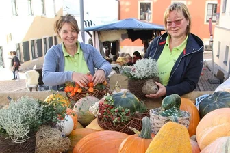 Naturmarkt Augustusburg lockt zahlreiche Besucher an - Kürbisse laden beim Naturmarkt zum Kauf ein.