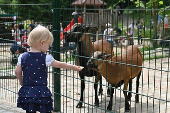 Naturpark in Penig: 25. Köbefest am 25. Mai - Wie im Vorjahr wird auch das 25. Köbefest am Sonntag wieder viele Besucher anlocken.