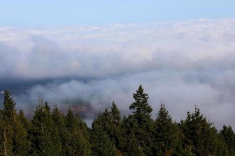 Naturschauspiel auf dem Fichtelberg – unten Wolken und Nebel, oben strahlender Sonnenschein - Blick von oben auf das Wolkenmeer: Auf dem Gipfel des Fichtelbergs bot sich Besuchern derweil ganz anderes Wetter.