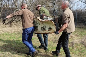Naturschützer befreien Zwickauer Teich von mehreren Kubikmetern Müll - Mit drei Leuten musste ein alter, zerfallender Kühlschrank transportiert werden. 