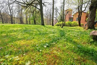Naturschützer laden zu Vogelstimmenwanderung im Grünfelder Park - Die Vogelstimmenwanderung am Samstag führt durch den Grünfelder Park in Waldenburg.